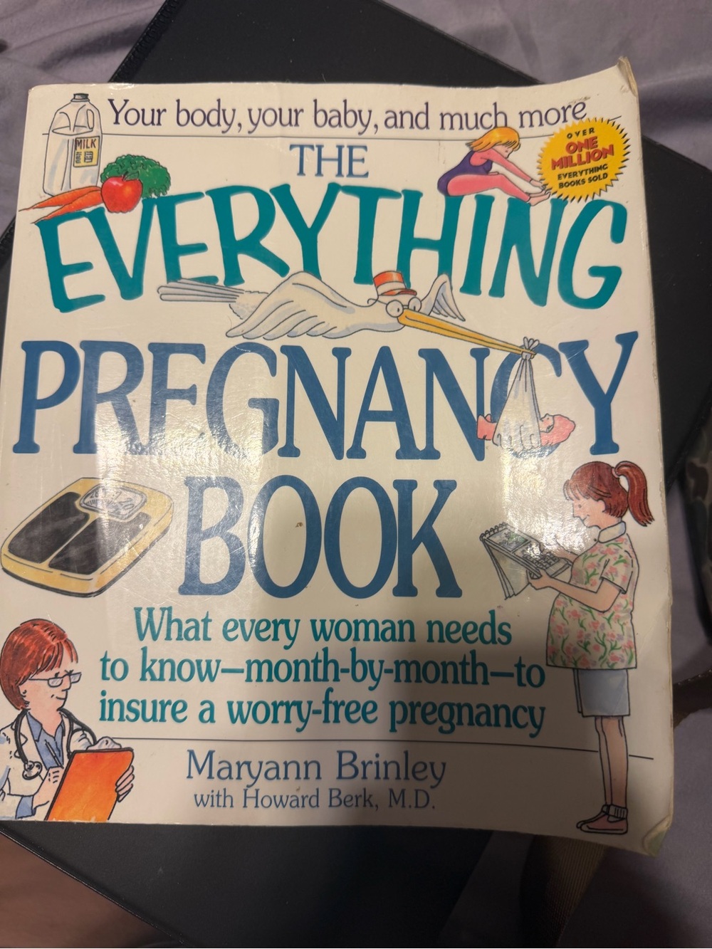 The Everything Pregnancy Book - Maryann Brinley (White/Blue Cover)